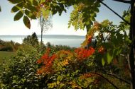 Chalet � louer Charlevoix, Baie St-Paul