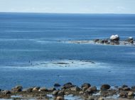 Gros Rocher, en montagnais Mistassini, ici maintenant Pointe-Mistassini un hameau du village de Franquelin