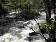 La rivi�re aux Mulets est � quelques pas, toujours en cascades vous pourrez vous assoir � l'abri des regards et relaxer ouvous tremper !