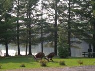 Vue  du Lac des Pins