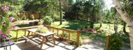 Patio avec BBq au gaz, table de picnic et am�nagement paysager