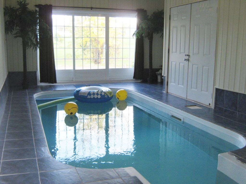 location chalet quebec avec chien