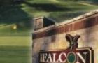 Club de golf The Falcon