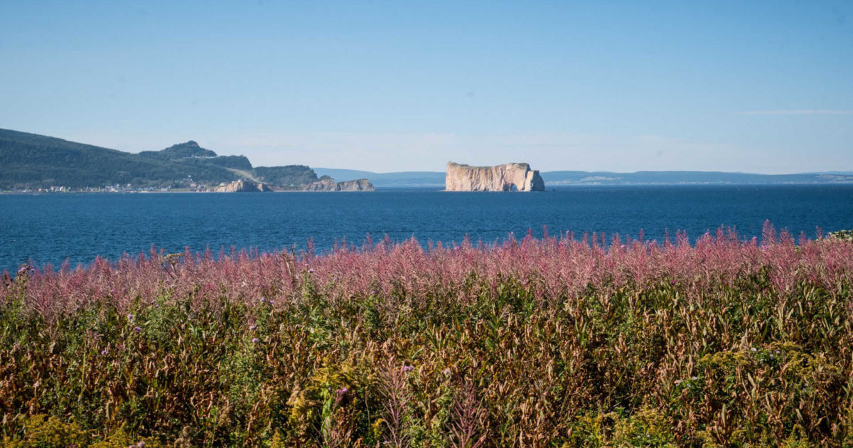 Chalets à louer Grande-Rivière, Gaspésie