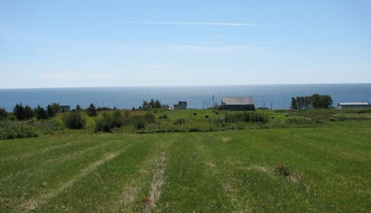 Terrain à l'arrière de la maison