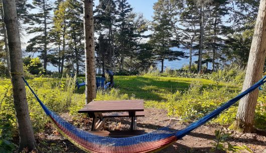Chaque yourte a une table de pique-nique, un BBQ, un foyer et un hamac