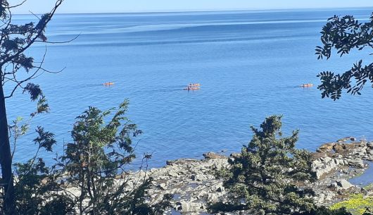Plusieurs activités nautiques offertes par l'entreprise Eskamer aventure à 2 km du site