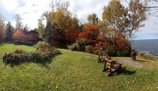 Environnement du chalet #3