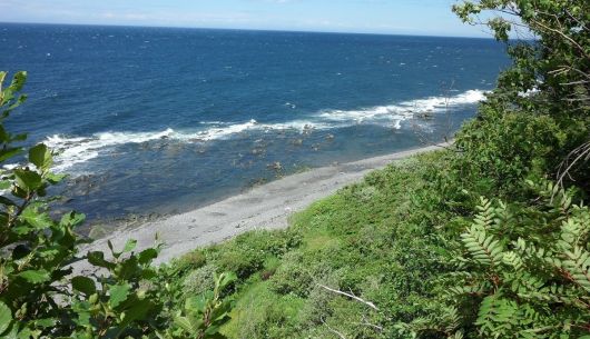 Plage de galets pour marcher sur plus d'un kilomètre de part et d'autres du site