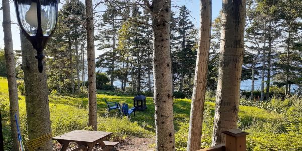 Vue de la yourte Lime, chacune a un grand terrain intime avec vue sur la mer