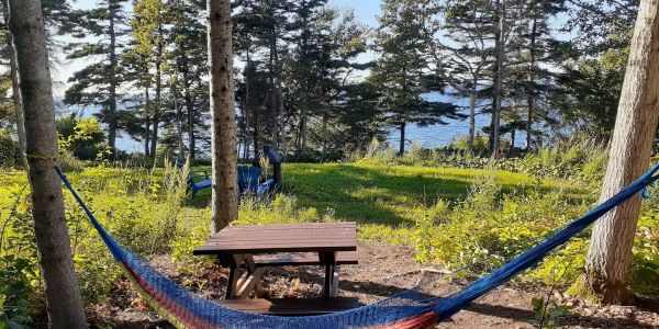 Chaque yourte a une table de pique-nique, un BBQ, un foyer et un hamac