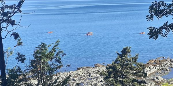 Plusieurs activités nautiques offertes par l'entreprise Eskamer aventure à 2 km du site