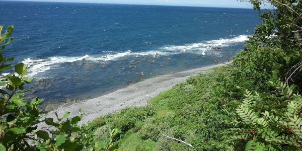 Plage de galets pour marcher sur plus d'un kilomètre de part et d'autres du site