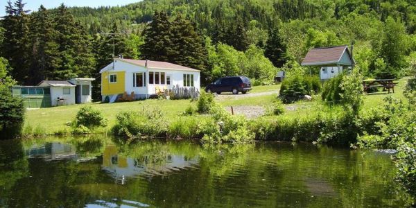 Près du chalet #1, il y a 2 étangs à truites... mais non pour pêcher!
