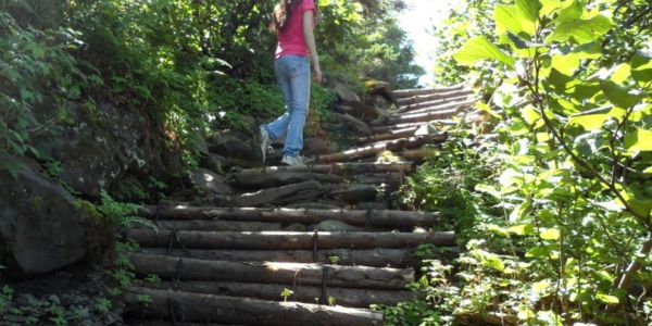 Accès à la plage par un escalier en perches de cèdre (50 marches)