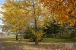 Chalet à louer Au Soleil Levant Du Lac Aylmer 