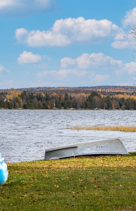 Au Soleil Levant Du Lac Aylmer - 