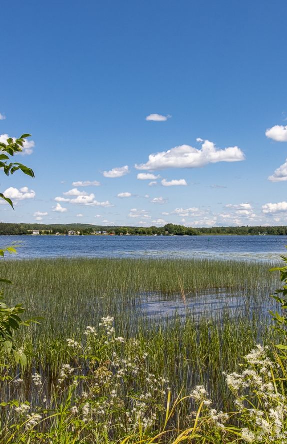 Au Soleil Levant Du Lac Aylmer - 