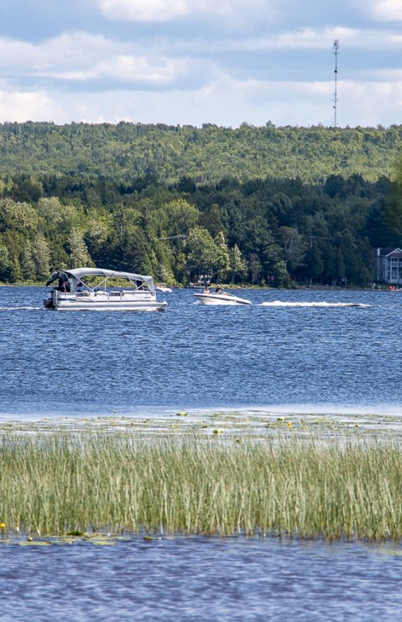 Au Soleil Levant Du Lac Aylmer - 