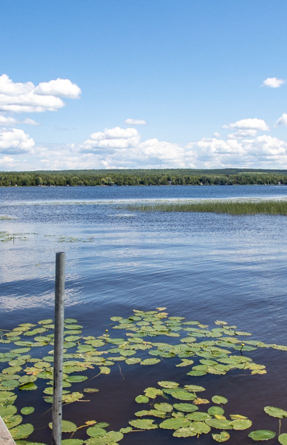 Au Soleil Levant Du Lac Aylmer - 