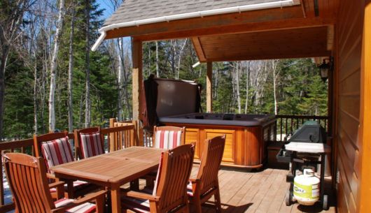 Patio, BBQ et SPA