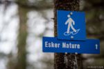 Chalet à louer Esker Nature Chalets & Villégiature Acces aux sentiers du Parc des Appalaches directement a partir du site