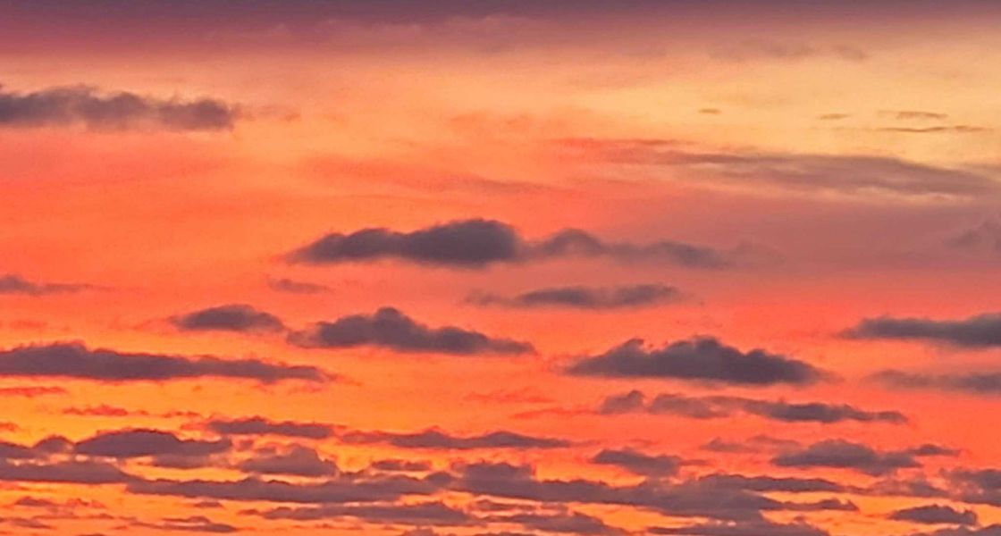 La Typique Aux Vents - 