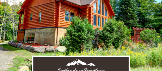 Chalet à louer Fiddler Lake Resort: Chalet 40 Chalets