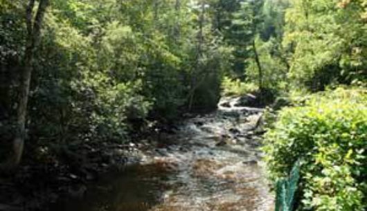 Rivière passant a l'arrière du chalet