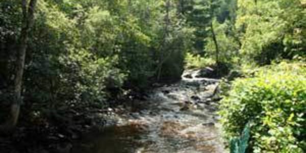 Rivière passant a l'arrière du chalet