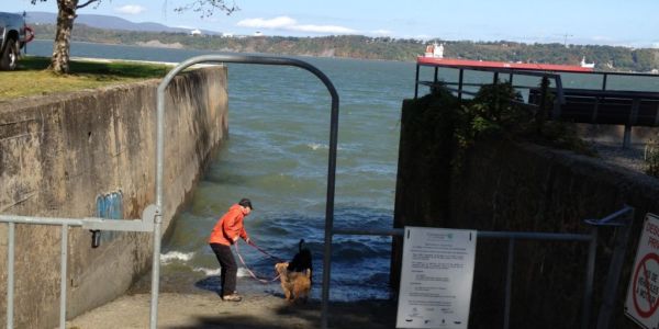 Descente pour kayak ou embarquation