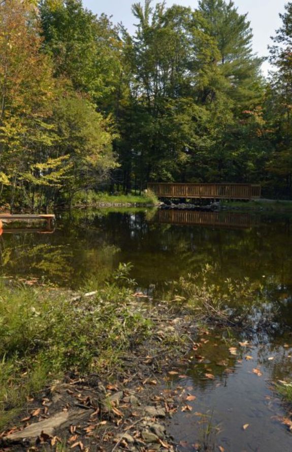 Pavillon Des Mésanges - 