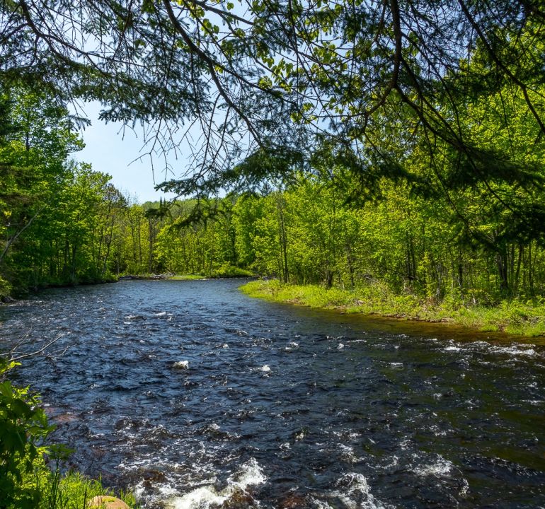 Chalet À louer Lanaudière