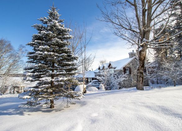 Chalet À louer Cantons-de-l'Est / Estrie