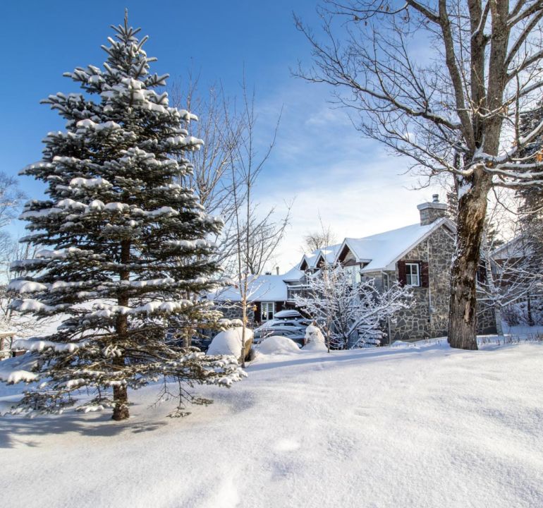 Chalet À louer Cantons-de-l'Est / Estrie